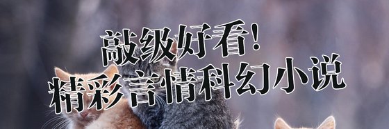 敲级好看！精彩言情科幻小说